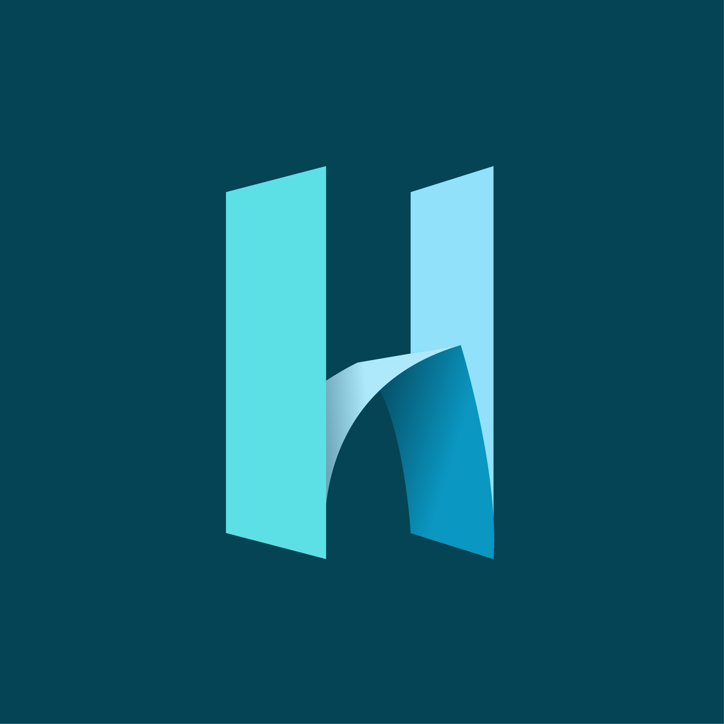 Hassan Designs
